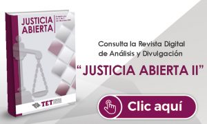 Revista Justicia Abierta 2